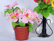 Games Shop in Trichy