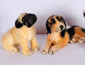 Sports fitness exercise