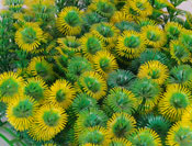 Youth sports fitness