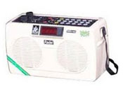 Saarang Miraj Musical Instrument shop