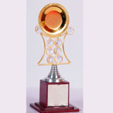 Best Designed Trophy Shop