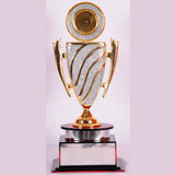 Winning Medal and Trophy shop