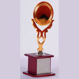 Wooden Finished trophy shop