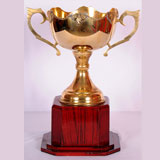 Silver Coated trophy shop