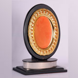 Super Designed Trophy Shop