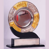 Wooden Finished trophy shop