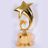 Shop for Hockey winning Trophy