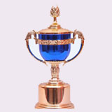 Silver Coated trophy shop