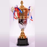 Trophies & Cups Shop in Trichy