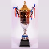 Trophies & Shield Shop in Trichy